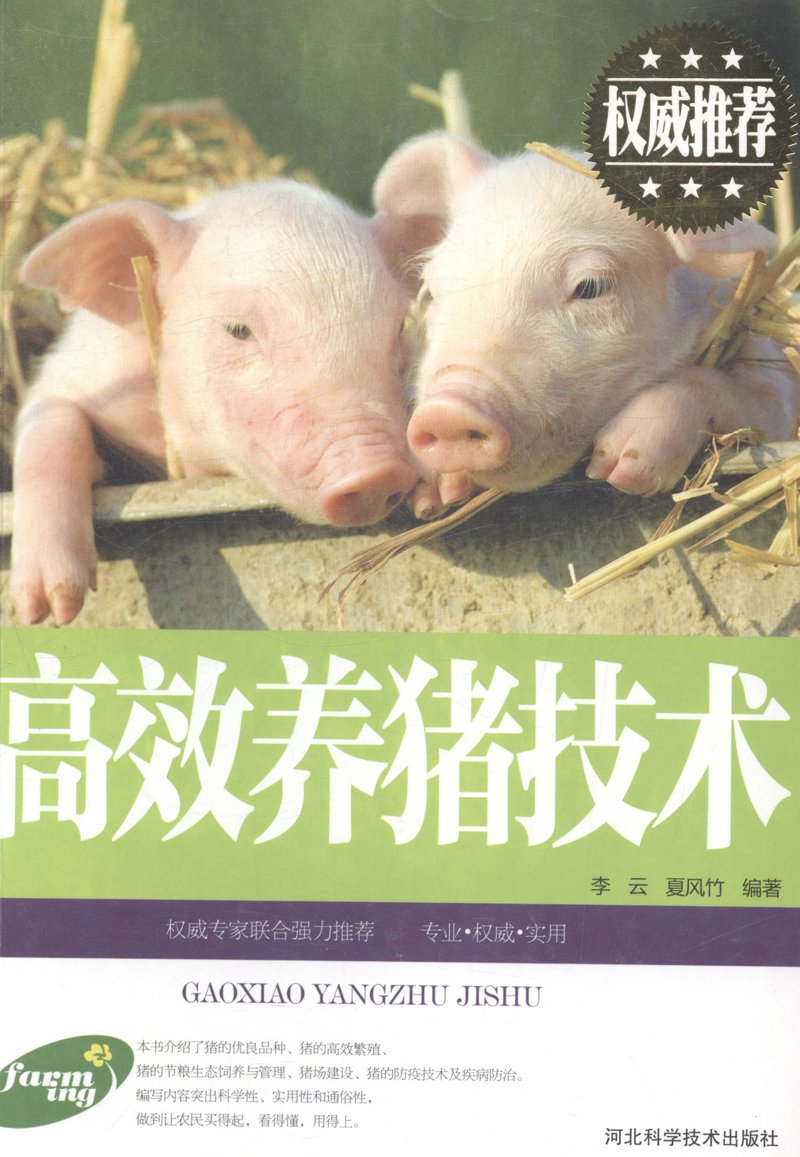 企业信息化:推动数字化转型的引擎