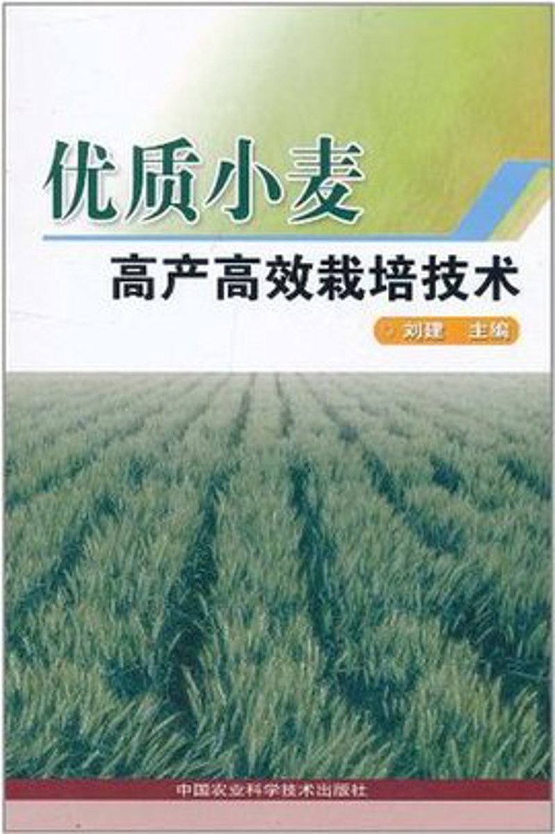 上海软件开发选购指南：选择靠谱的合作伙伴