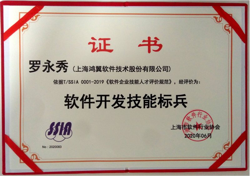 上海软件开发：优势与挑战并存